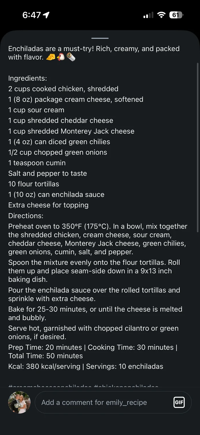 Chicken Enchiladas - Recipe photo
